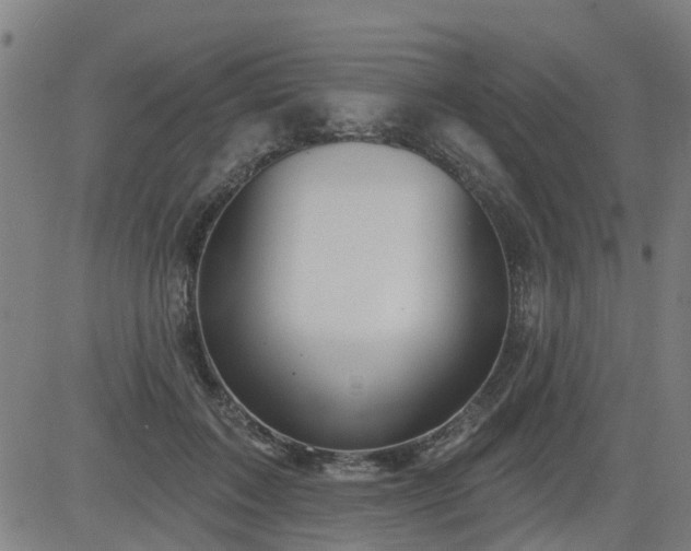 X0000083590603200702162145