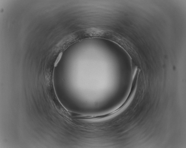 X0000083590604200702162145