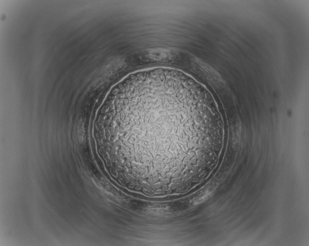 X0000083590606200702162145