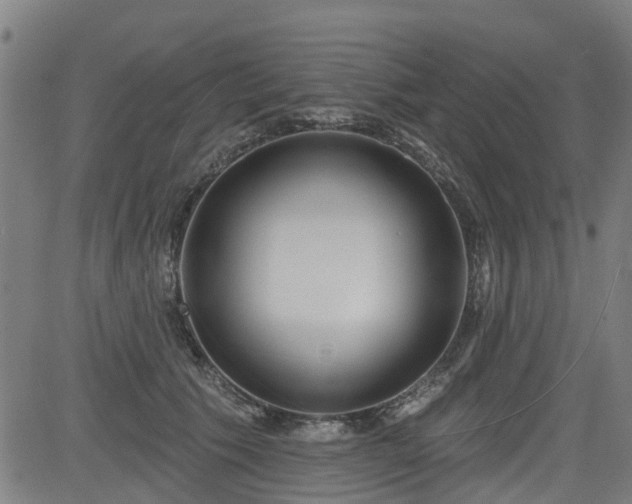 X0000083590609200702162145