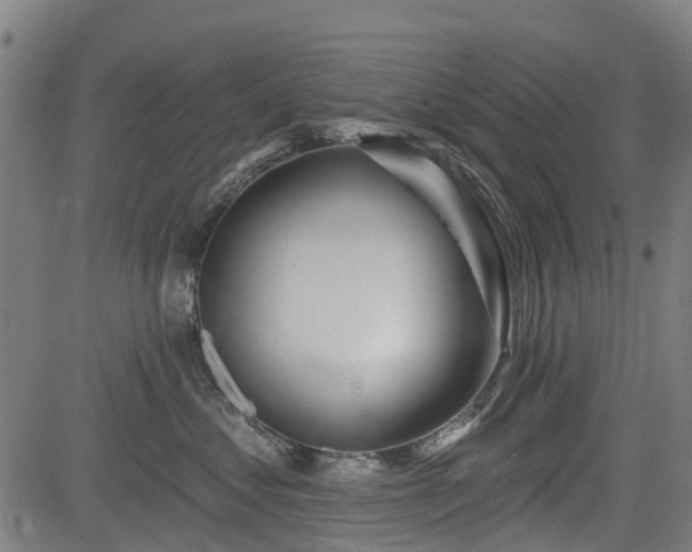 X0000083590621200702162145