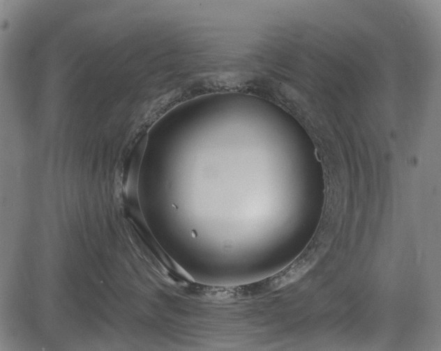 X0000083590624200702162145
