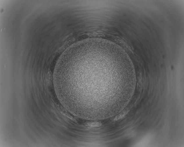 X0000083590659200702162145