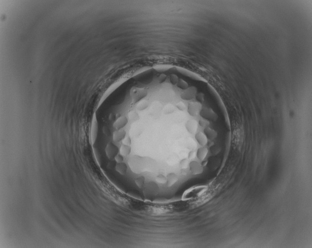 X0000083590662200702162145