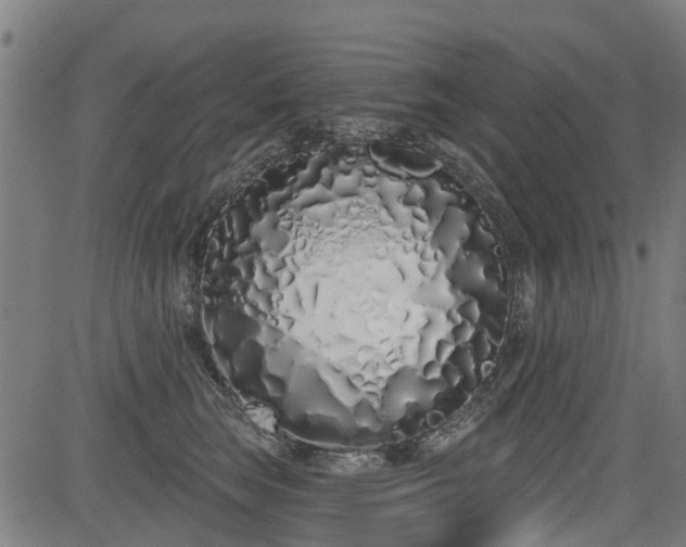 X0000083590663200702162145