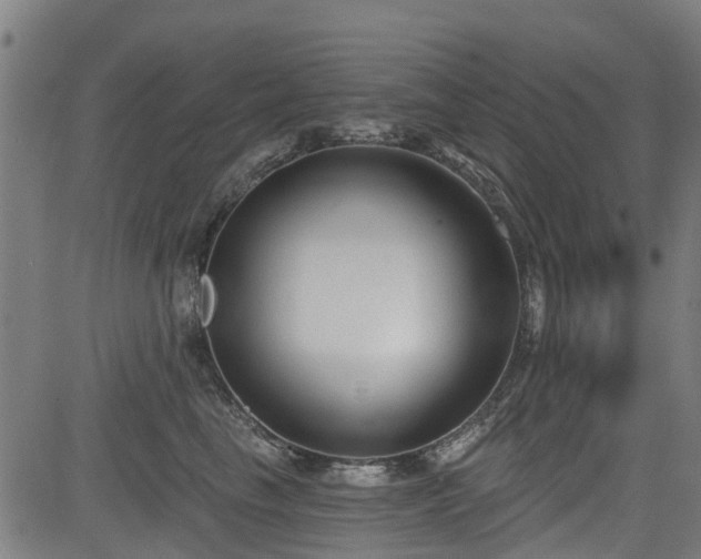 X0000083590665200702162145