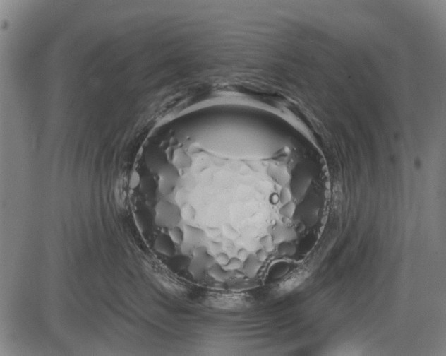 X0000083590671200702162145