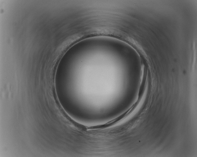 X0000083590673200702162144