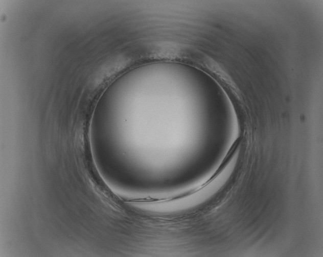 X0000083590681200702162144