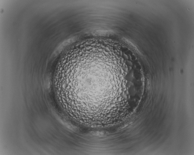 X0000083590687200702162144