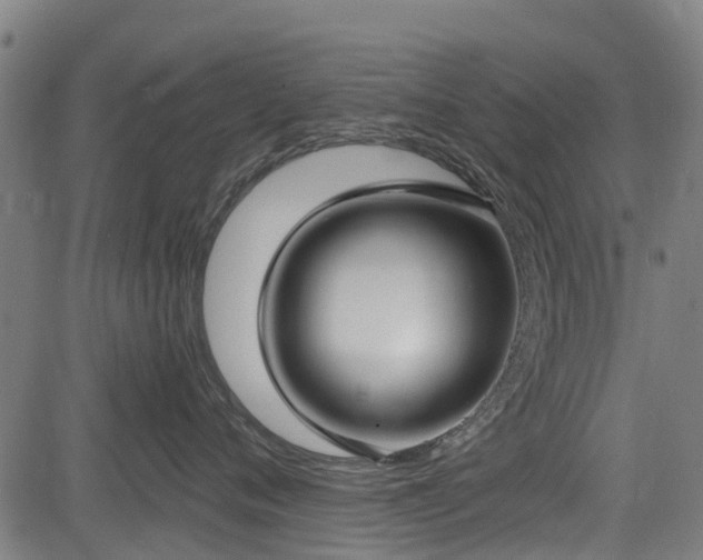 X0000083590720200702162143