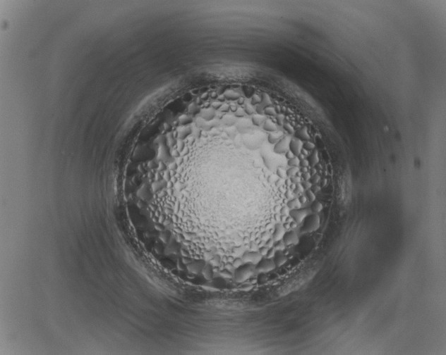 X0000083590733200702162143