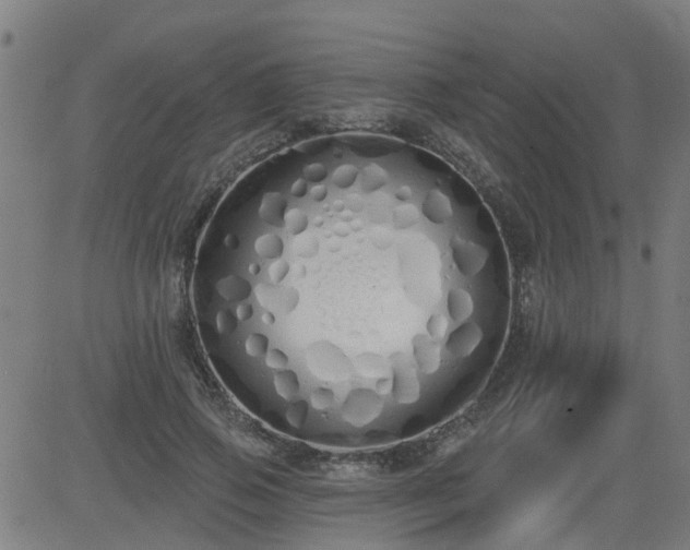 X0000083590741200702162143