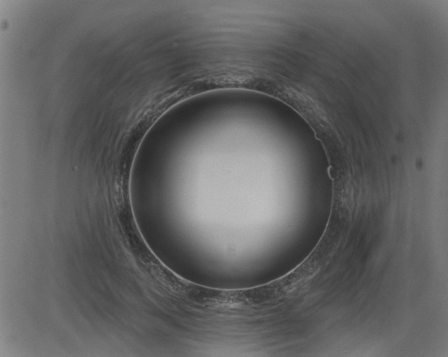 X0000083590743200702162143