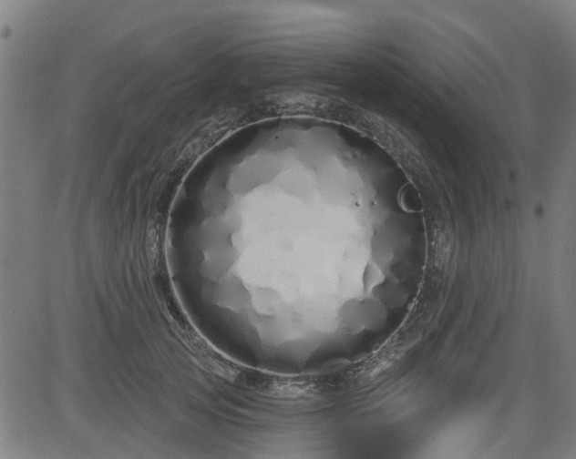 X0000083590753200702162143