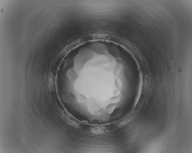 X0000083590761200702162143