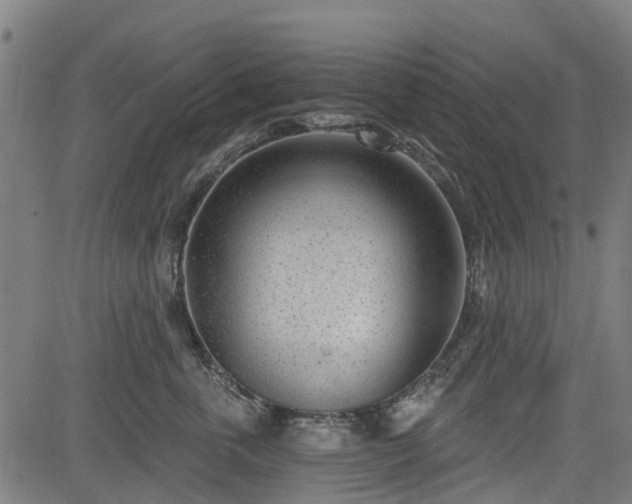 X0000083590763200702162143