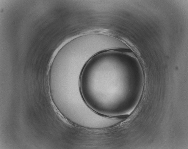 X0000083590816200702162142