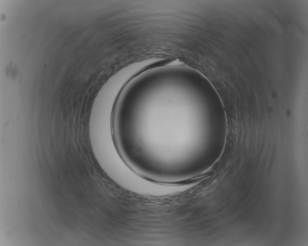 X0000083590818200702162141