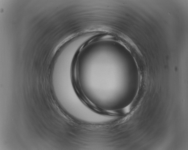 X0000083590826200702162141