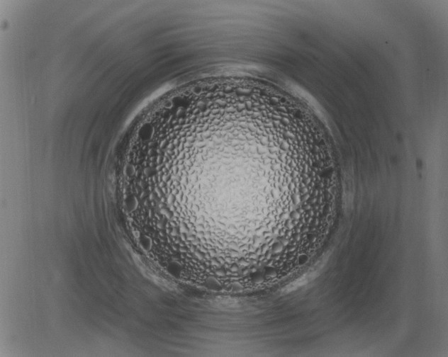 X0000083590827200702162141
