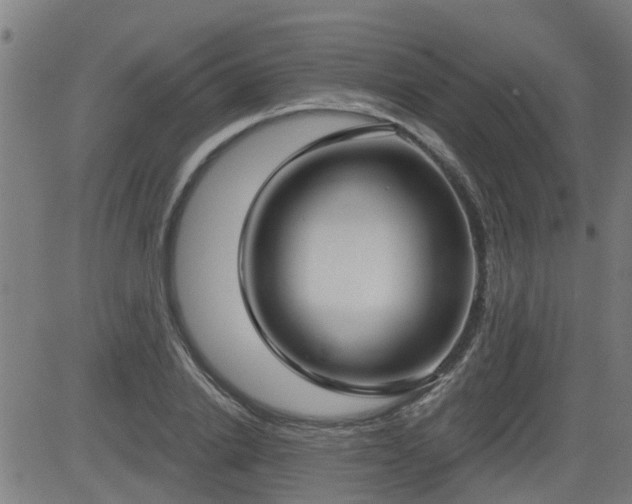 X0000083590838200702162141