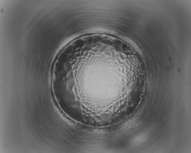 X0000083590839200702162141
