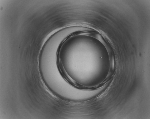 X0000083590846200702162141