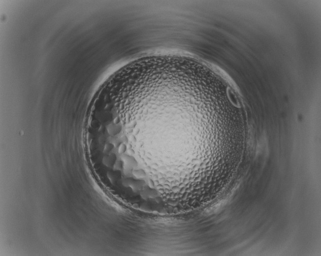 X0000083590847200702162141
