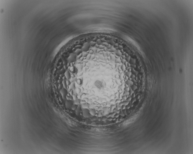 X0000083590875200702162141