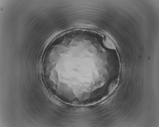 X0000083590891200702162140