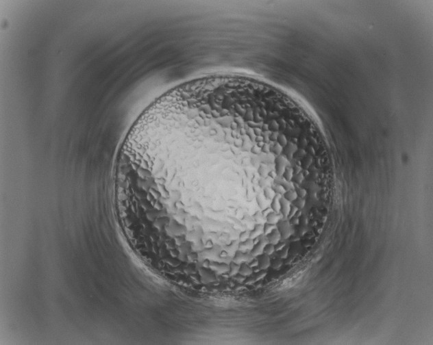 X0000083590911200702162140