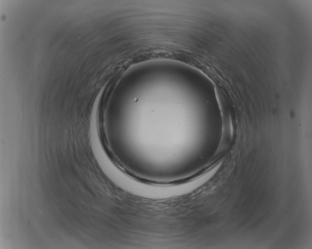 X0000083590916200702162139