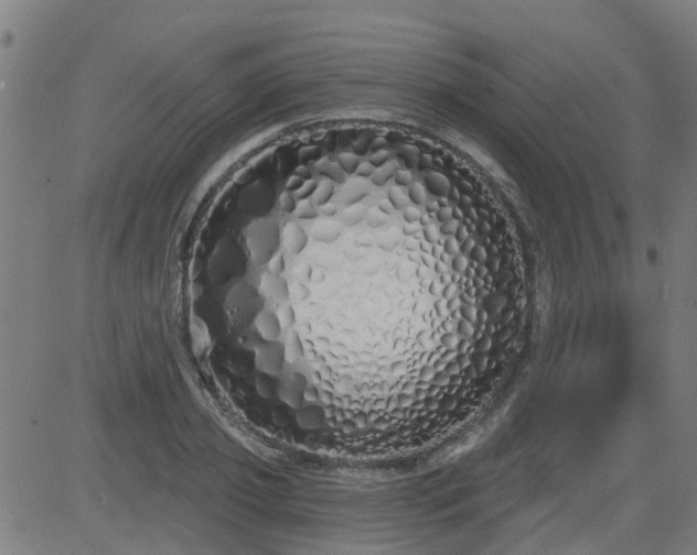 X0000083590933200702162140