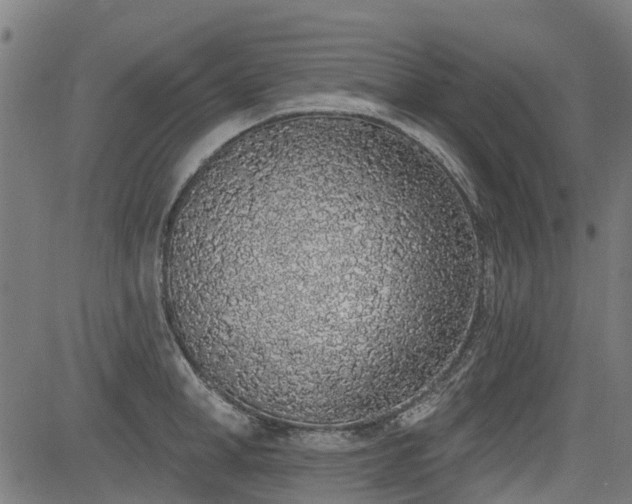 X0000083590998200702162139