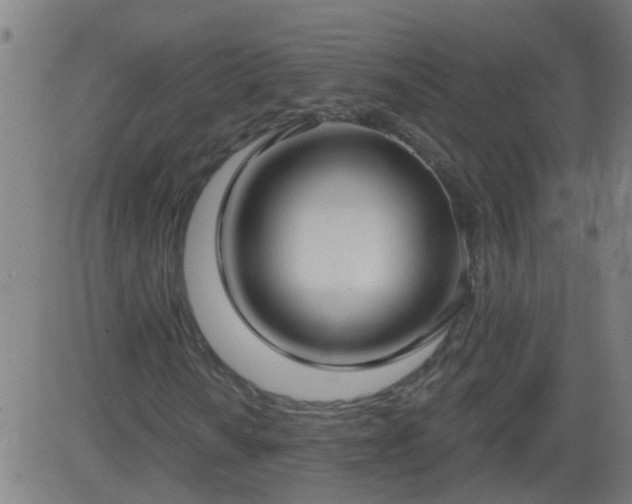 X0000083591010200702162138