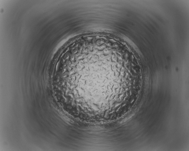 X0000083591023200702162138
