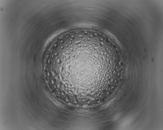 X0000083591027200702162138
