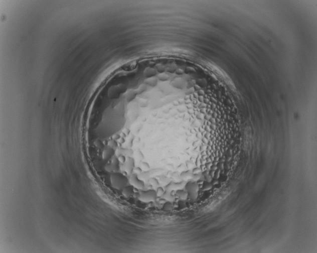 X0000083591039200702162138