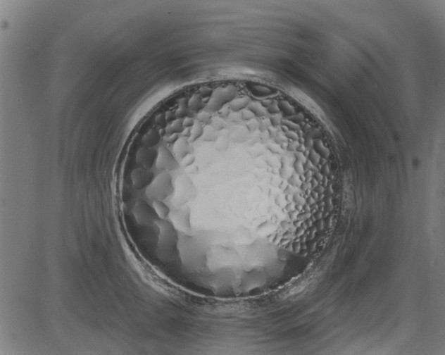 X0000083591047200702162138