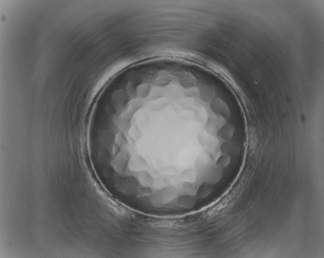X0000083591048200702162138