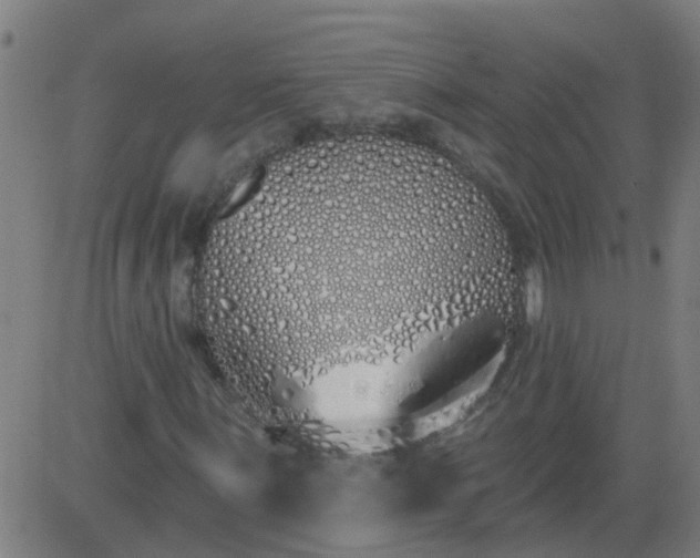 X0000083591059200702162138