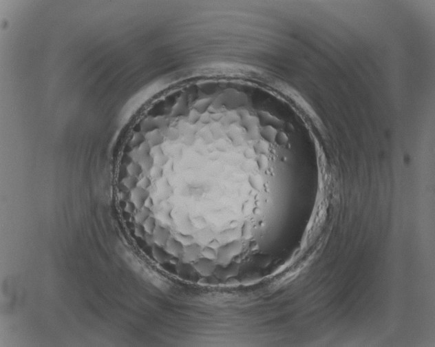 X0000083591075200702162137