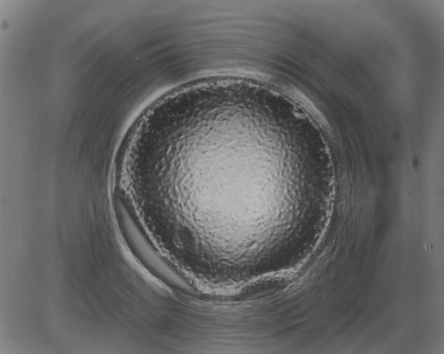 X0000083591084200702162137