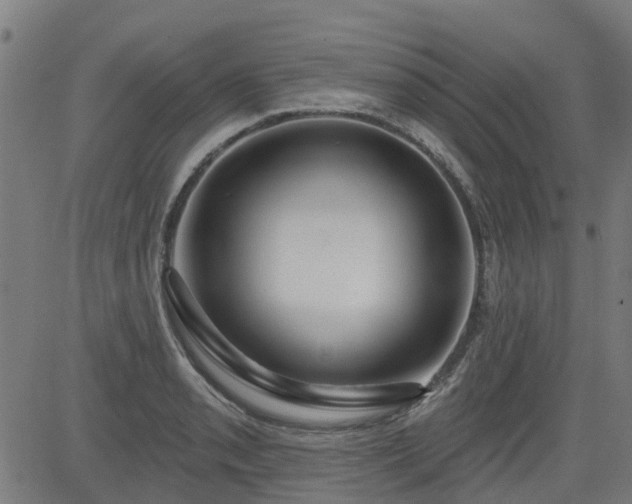 X0000083591085200702162137