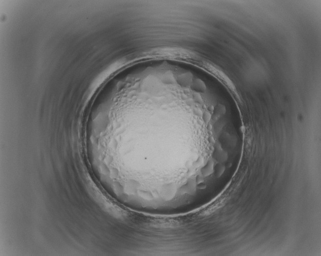 X0000083591091200702162137