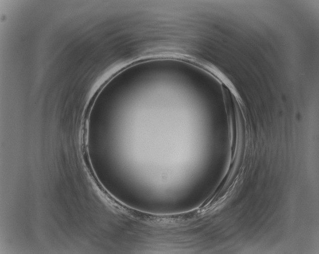 X0000083591101200702162137