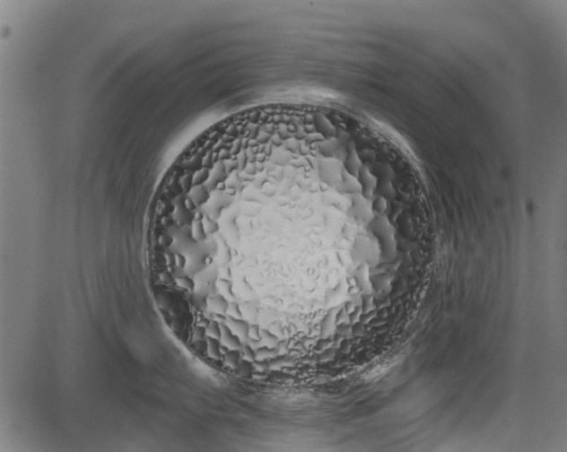 X0000083591103200702162137
