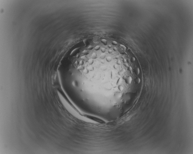 X0000083591106200702162136