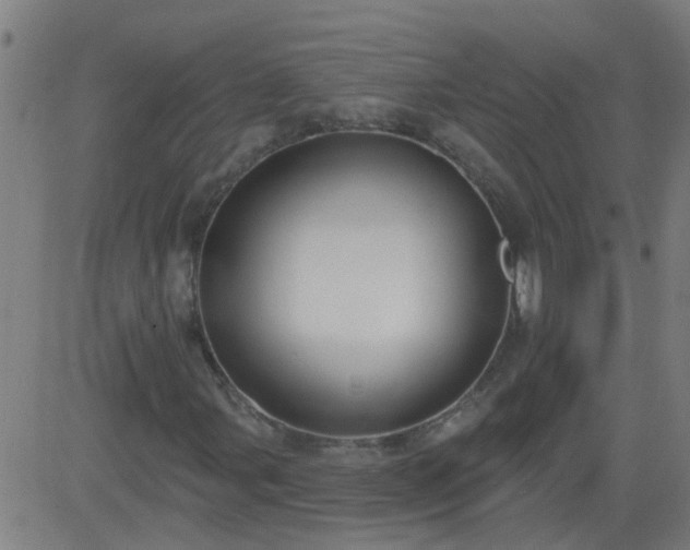 X0000083591107200702162136